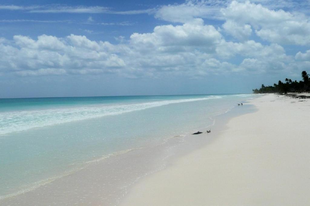 Casa Pelicanos Tulum Beach Mx - Next To Hotel Zone ภายนอก รูปภาพ